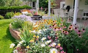 Plant Perennial Plants In A Garden Bed