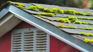 how to remove moss on a roof