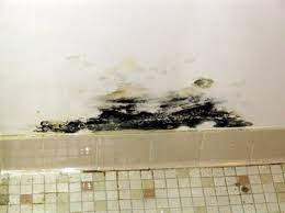 black mold in bathroom cause dangers