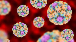 Hpv can lay dormant for many years after a person contracts the virus, even if symptoms never occur. 8 Things You May Not Know About Hpv Everyday Health