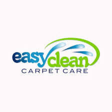 easy clean carpet care project photos