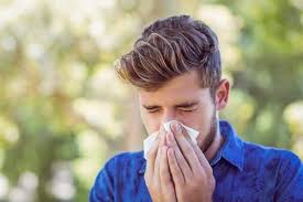 6 herbal remes for treating rhinitis