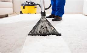 cleaning services carpet cleaning fair