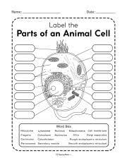 cell structure function worksheet