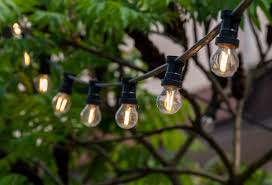 Best Outdoor Tree Lights Review In 2023
