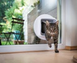 The 7 Best Cat Doors In 2023 Cats Com