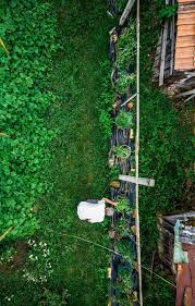 Planting Fall Beds In Louisiana