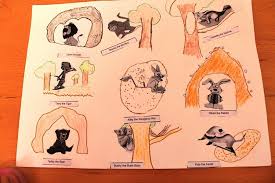 Project Chart On Animals And Their Homes Pet Animals And
