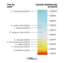 How To Easily Understand Color Temperature In Photography