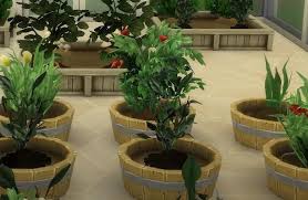 Complete Sims 4 Plant List Find How