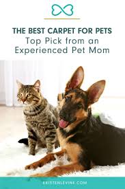 the best carpet for pets according to