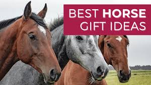 top 30 best horse gift ideas for 2023