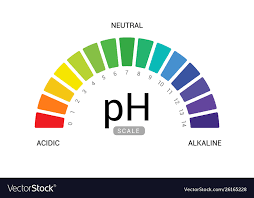 Ph Scale Indicator Chart Diagram Acidic Alkaline