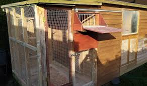 aviaries for pigeons