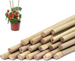 bamboo plant stakes indoor outdoor