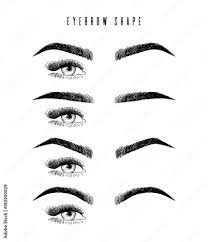 eyebrow shaping for women face makeup