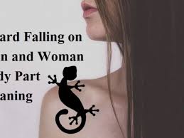 meaning of lizard falling on our body