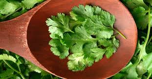 Best coriander powder in the market at the moment and they ship very fast too. Include These 5 Herbs In Your Diet For Improved Immunity Health Food Manorama English