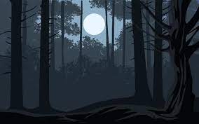 dark forest background vector art