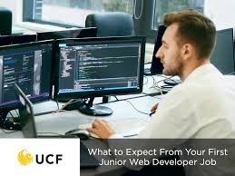 junior web developer job