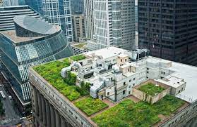 Green Roofs Rooftop Gardens