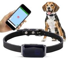 Get this cat gps tracker for your pet cat and have peace of mind. Buy Online Pets Smart Gps Tracker Ip67 Waterproof Adjustable Practical Dog Cat Tracking Collar Anti Lost Dog Tracking Locator With Free App Alitools