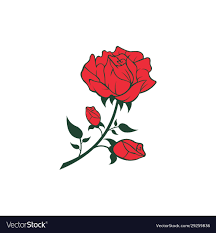 red rose flower icon royalty free