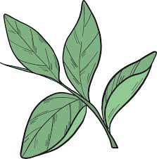 Multiple sizes and related images are all free on clker.com. Blueberry Leaves Clipart Free Download Transparent Png Creazilla