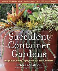 Read This Succulent Container Gardens
