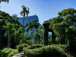 12 Best Botanical Gardens In The World