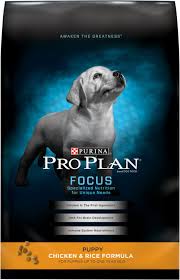 Purina Pro Plan Focus Puppy Chicken Rice Formula Dry Dog Food 6 Lb Bag
