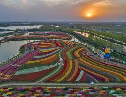 Maybe you would like to learn more about one of these? Over 30 Million Tulips In Full Bloom At The Holland Sea Of Flowers Jiangsu Pics