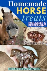 homemade horse treats moles and