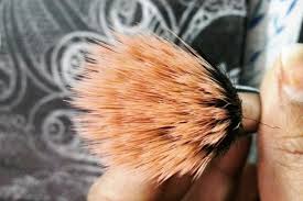 vega professional buffer brush small