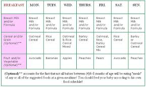 8 Month Pregnancy Meal Planner Template Microsoft Excel