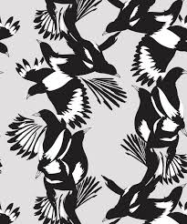 magpie wallpaper australian bird