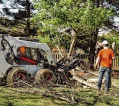 I called them saying i needed someone to. Top Local Tree Care Service Companies Near Me Tree Removal Pruning Contractors Youthful Home