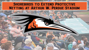 Shorebirds To Extend Protective Netting At Arthur W Perdue