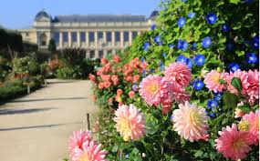 Photos, address, and phone number, opening hours, photos, and user reviews on yandex.maps. Jardin Des Plantes Menagerie Musee Les Dates De Reouverture Vivre Paris