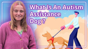 what is an autism istance dog you