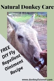 fly repellent ointment for equine the
