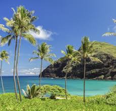 oahu vacation als from 24 hometogo