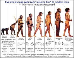 Human Evolution Timeline Buscar Con Google Human