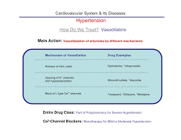 Fruit Vegetable Drug Interactions  Effects on Drug Metabolizing     Depressants SLOW DOWN CNS  Examples  Heart rate   Breathing