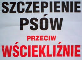 Szczepienia psów przeciw wściekliźnie | e-lubon.pl