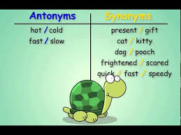 antonyms and synonyms you