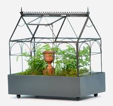 H Potter Plant Terrarium Container