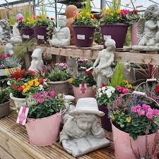 containers planters ahern nurseries