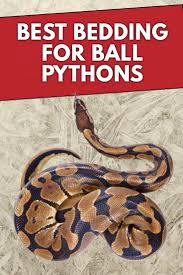 best ball python substrate bedding