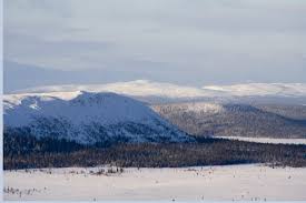 Bildresultat för svenska fjäll